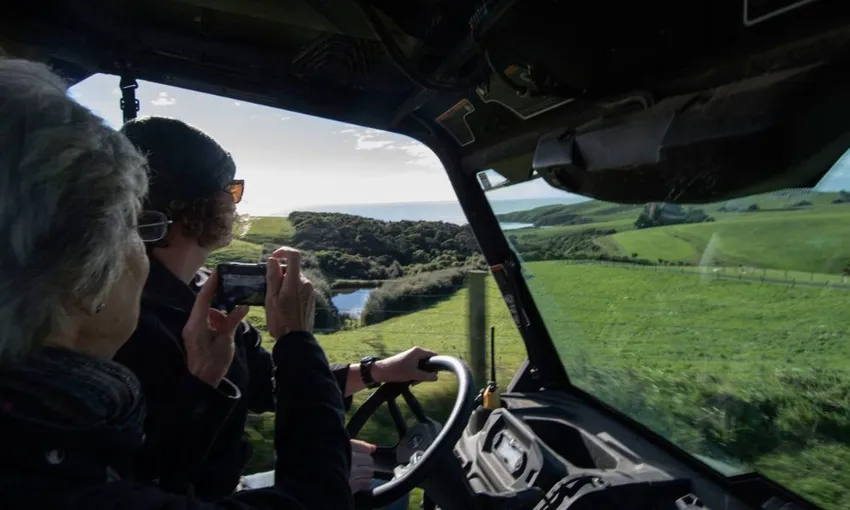 Otago Peninsula Wildlife & Penguin Tour | Experience Oz + NZ