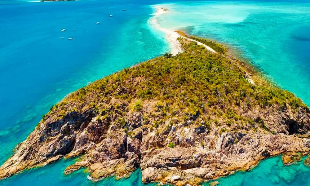 Tongarra Full Day Day Sail & Snorkel - Whitsundays-3