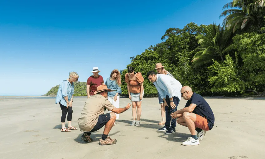 2 Day Great Barrier Reef, Daintree and Cape Tribulation Tour - Book Now | Experience Oz