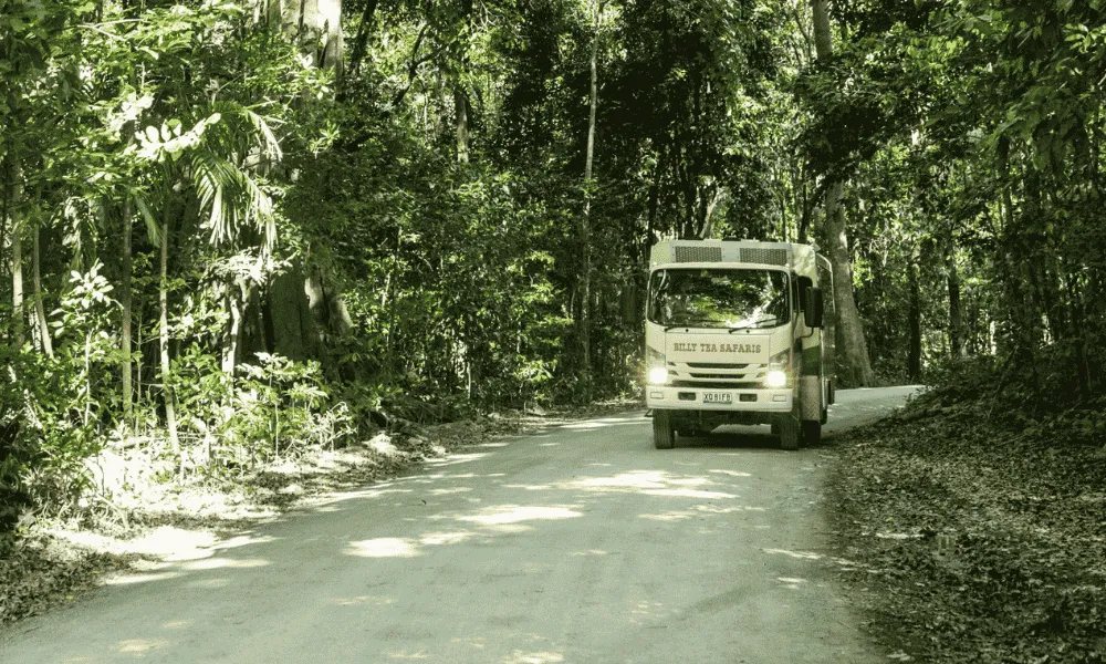 2 Day Great Barrier Reef, Daintree and Cape Tribulation Tour - Book Now | Experience Oz-4