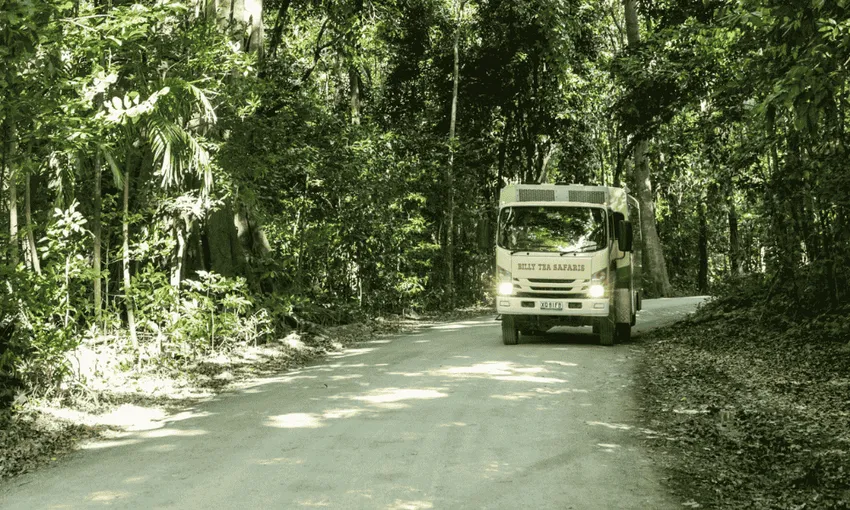 2 Day Great Barrier Reef, Daintree and Cape Tribulation Tour - Book Now | Experience Oz