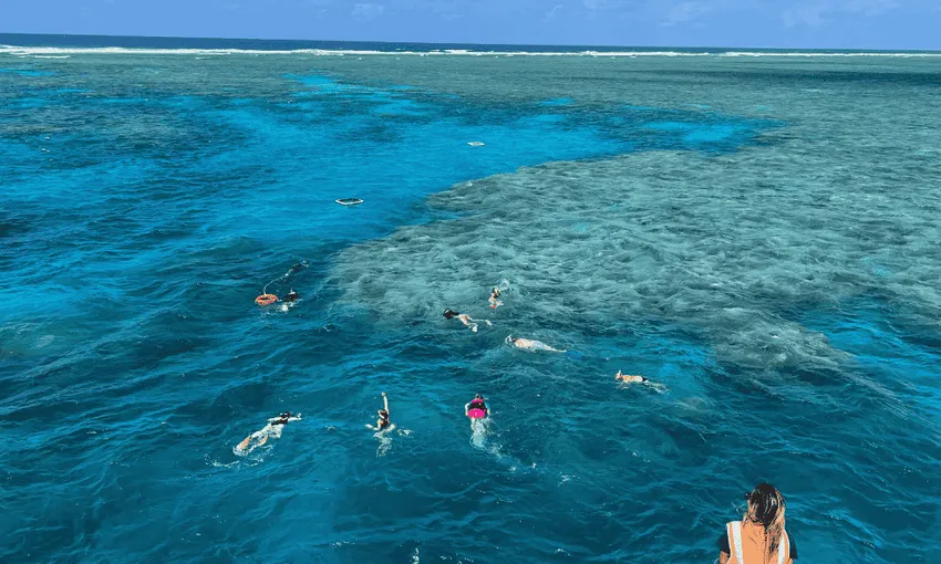 2 Day Great Barrier Reef, Daintree and Cape Tribulation Tour - Book Now | Experience Oz