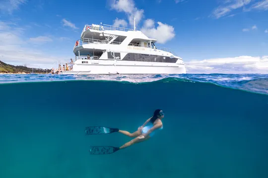 Dolphin & Tangalooma Wrecks Snorkelling Cruise with Lunch