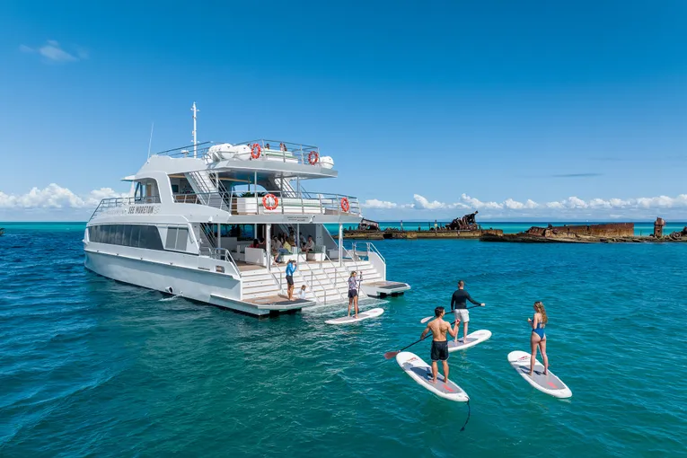 Gold Coast Dolphin & Tangalooma Wrecks Cruise | Experience Oz