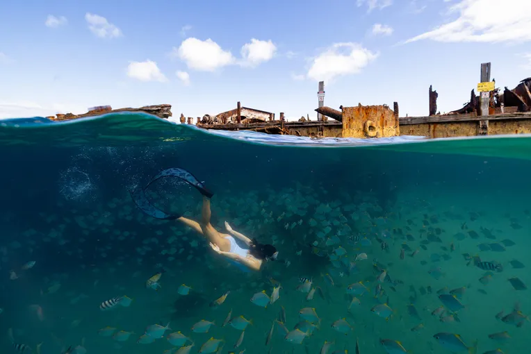 Gold Coast Dolphin & Tangalooma Wrecks Cruise | Experience Oz
