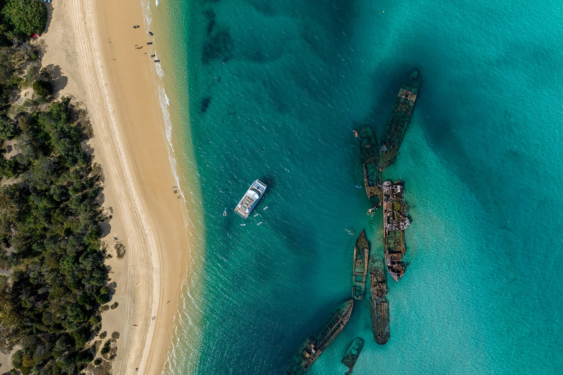 Gold Coast Dolphin & Tangalooma Wrecks Cruise | Experience Oz-12