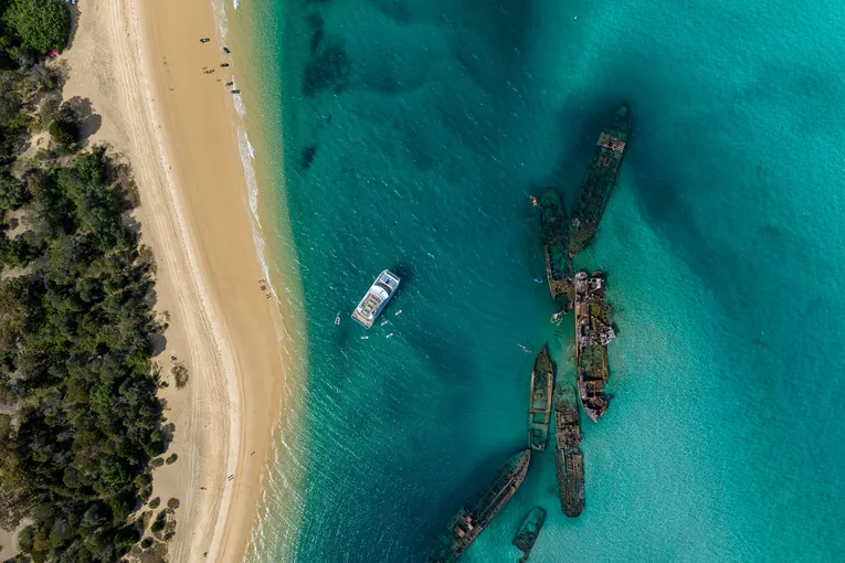 Gold Coast Dolphin & Tangalooma Wrecks Cruise | Experience Oz