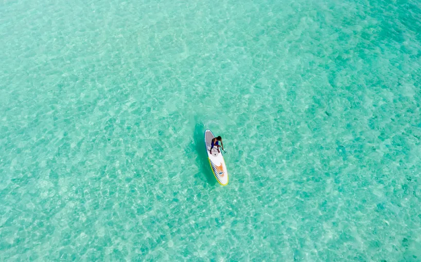 Gold Coast Dolphin & Tangalooma Wrecks Cruise | Experience Oz