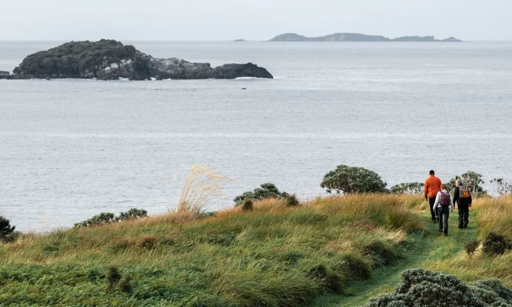 Stewart Island Wilderness Walk - 3.5 Hours | Experience Oz + NZ-5