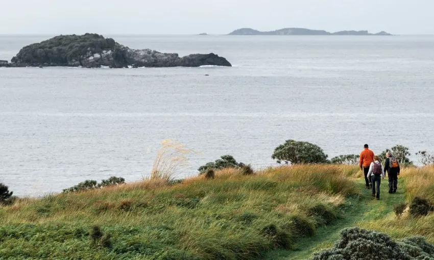 Stewart Island Wilderness Walk - 3.5 Hours | Experience Oz + NZ