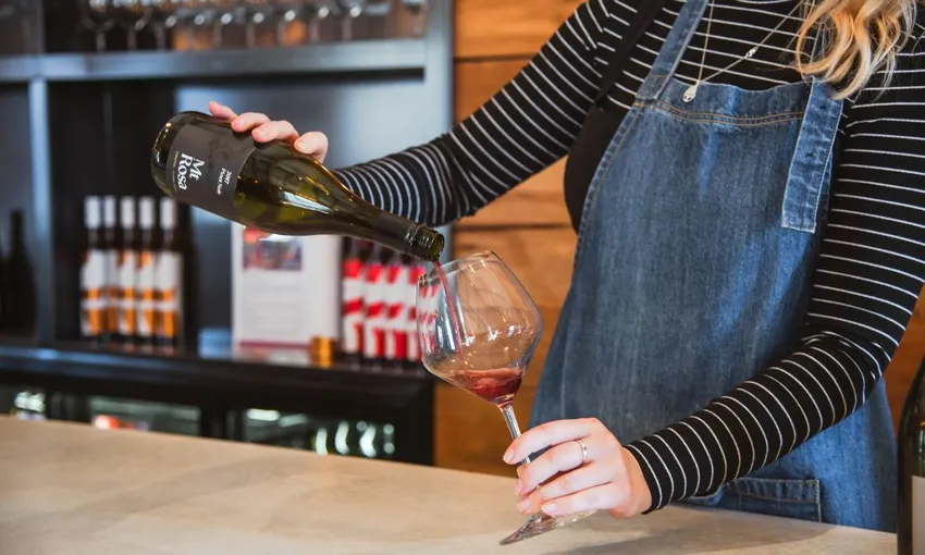 Queenstown Wine Sampler Tour - Book Now | Experience Oz