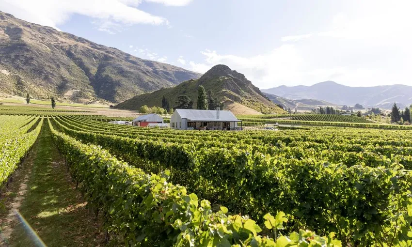 Queenstown Wine Sampler Tour - Book Now | Experience Oz
