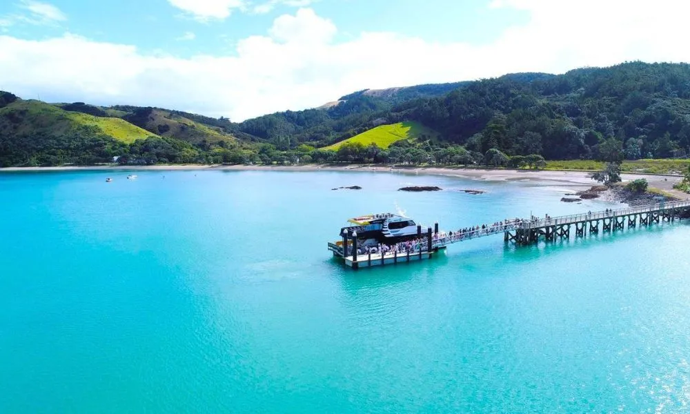 Man O' War Vineyard Waiheke Island Return Ferry - 90 Minutes | Experience Oz-1
