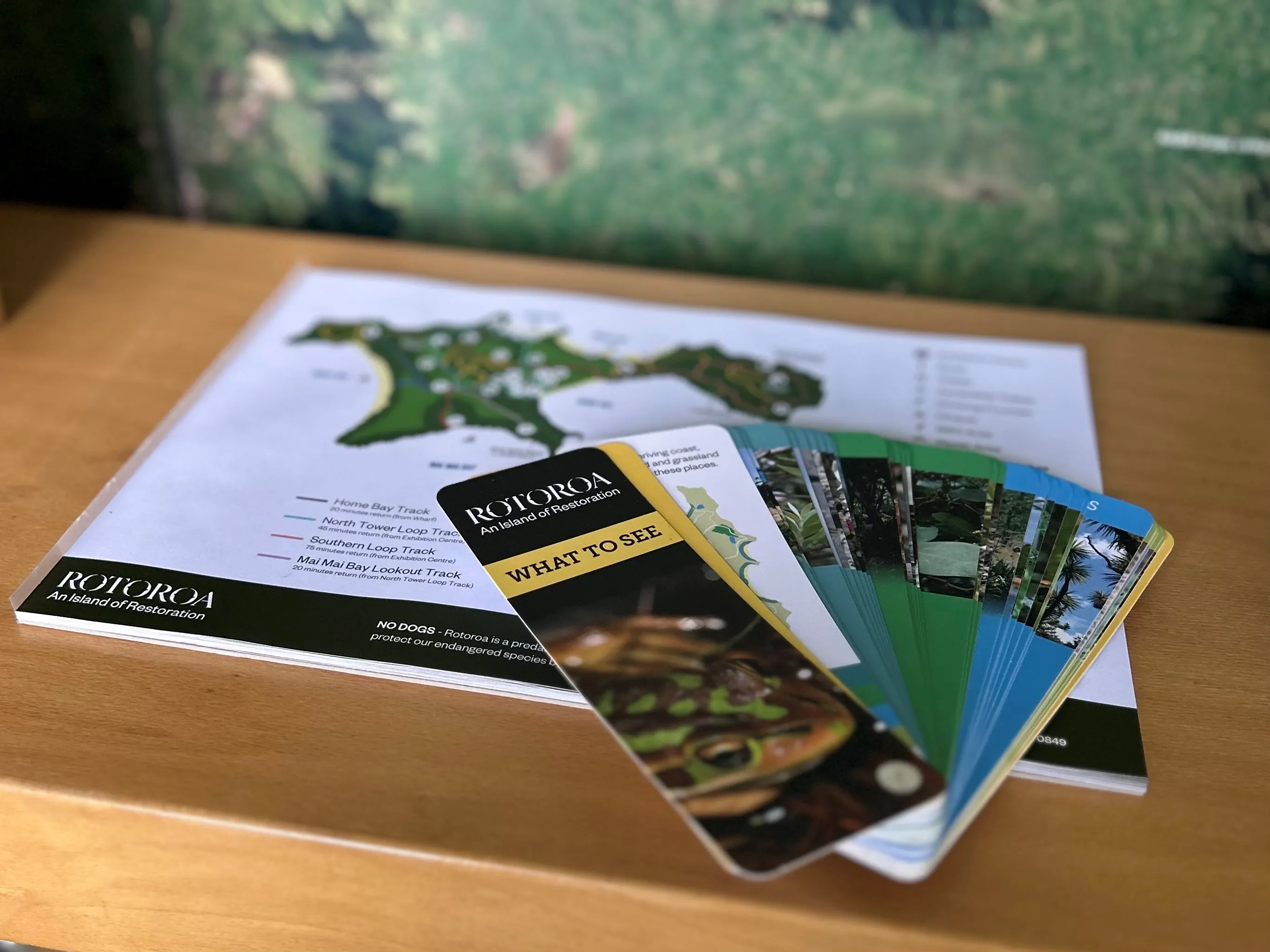 Rotoroa Island Ferry from Auckland - 75 Minutes | Experience Oz-8