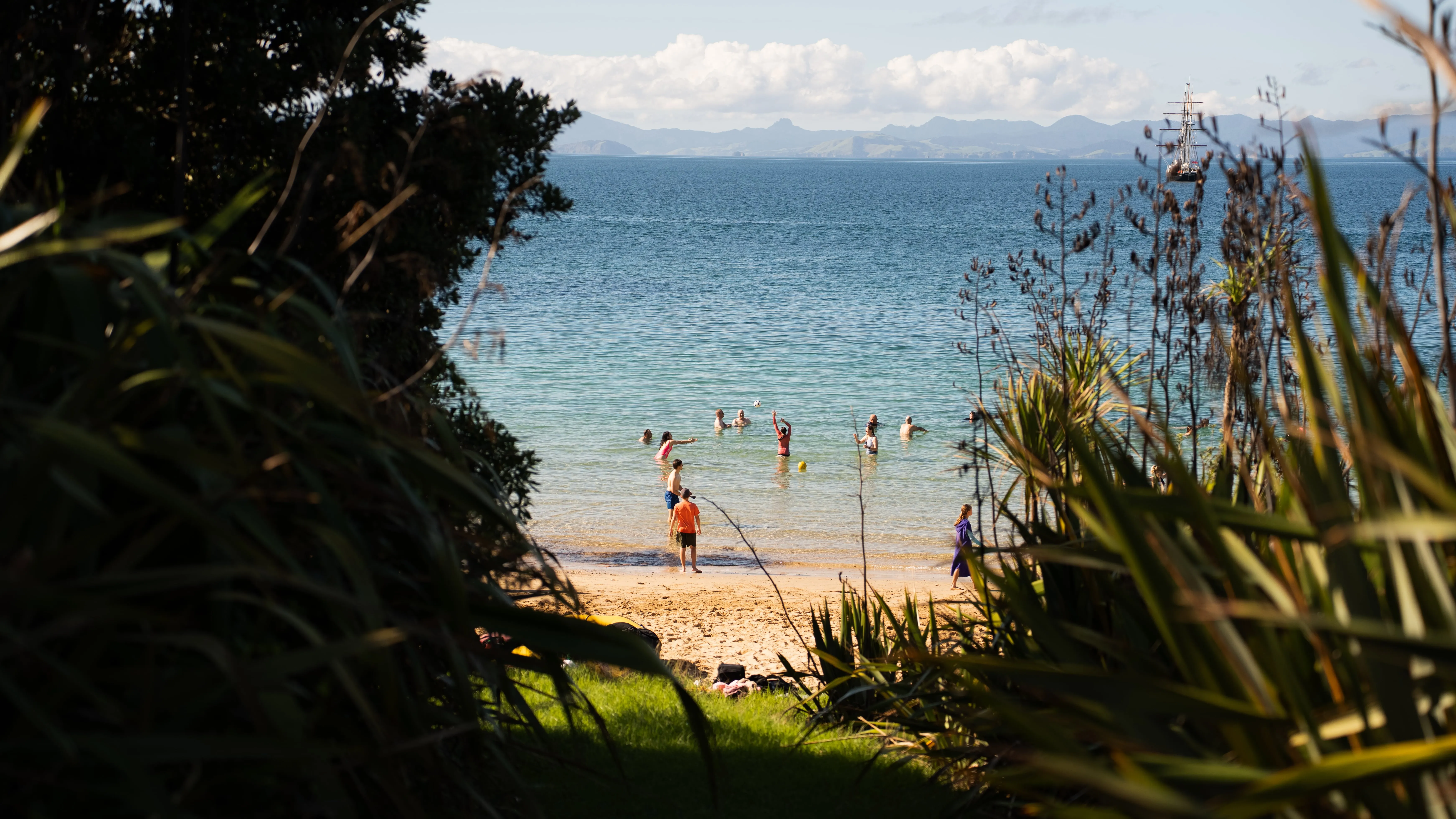 Rotoroa Island Ferry from Auckland - 75 Minutes | Experience Oz-9