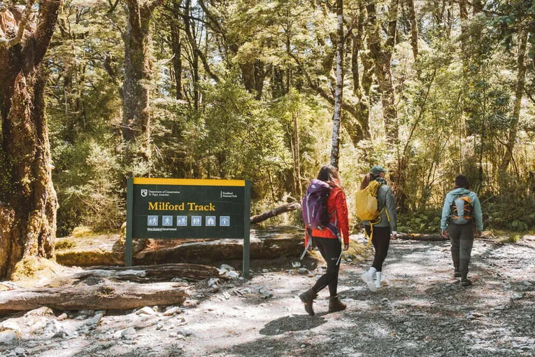 Milford Track Self-Guided Day Walk with Transfers | Experience Oz