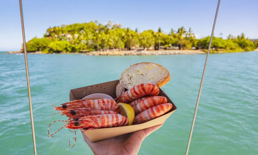 Port Douglas Shaolin Seafood Lunch Sail - Book Now | Experience Oz