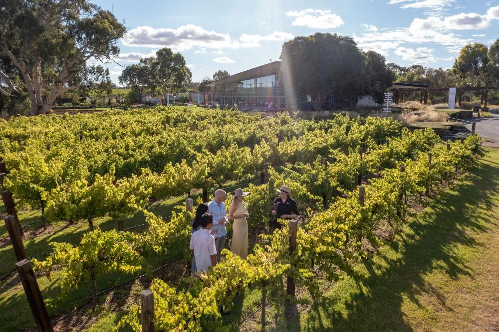 Barossa Valley Picnic with Food, Wine and Tasting - Book Now | Experience Oz-6