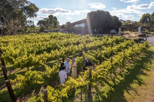 Barossa Valley Picnic with Food, Wine and Tasting - For 2