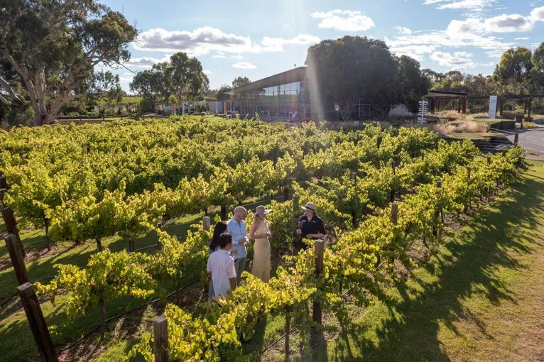 Barossa Valley Picnic with Food, Wine and Tasting - Book Now | Experience Oz