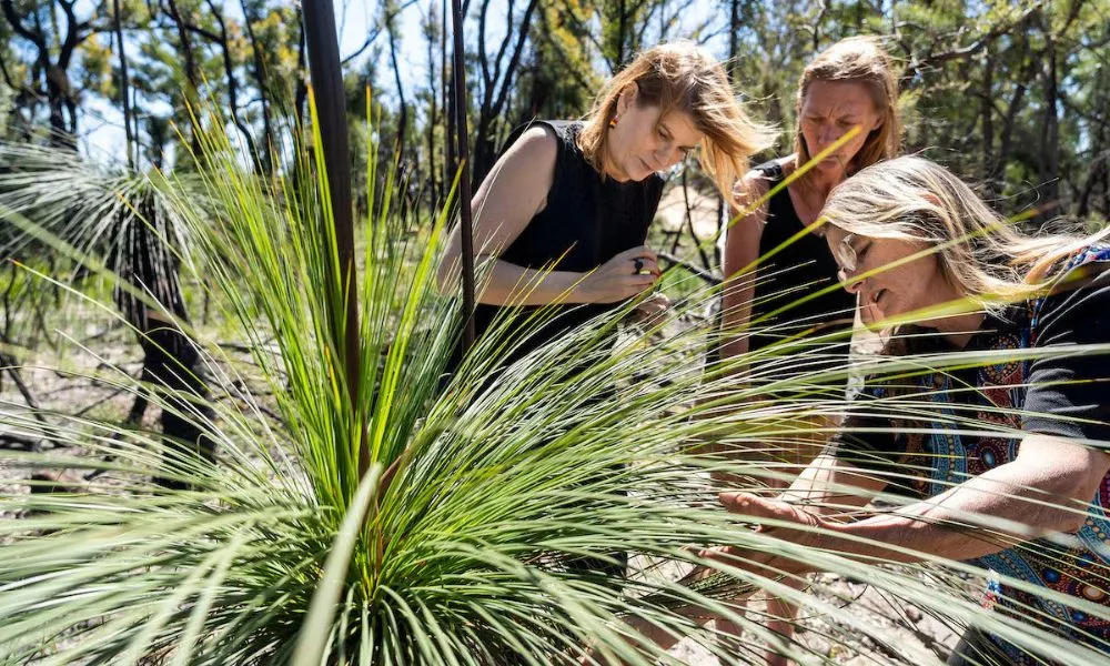 Mount Yengo Sunset Tour | Experience Oz  -1