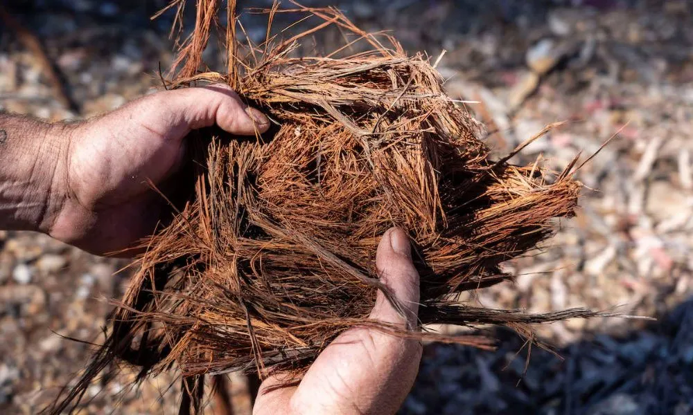 Mount Yengo Sunset Tour | Experience Oz  -5