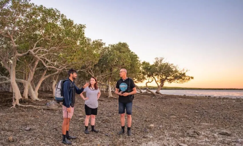 Broome Staircase to the Moon Experience | Experience Oz 