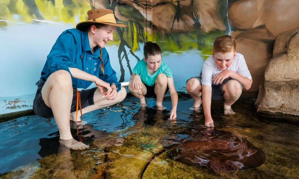 Crocosaurus Cove Whipray Encounter & Entry - Book Now | Experience Oz-1