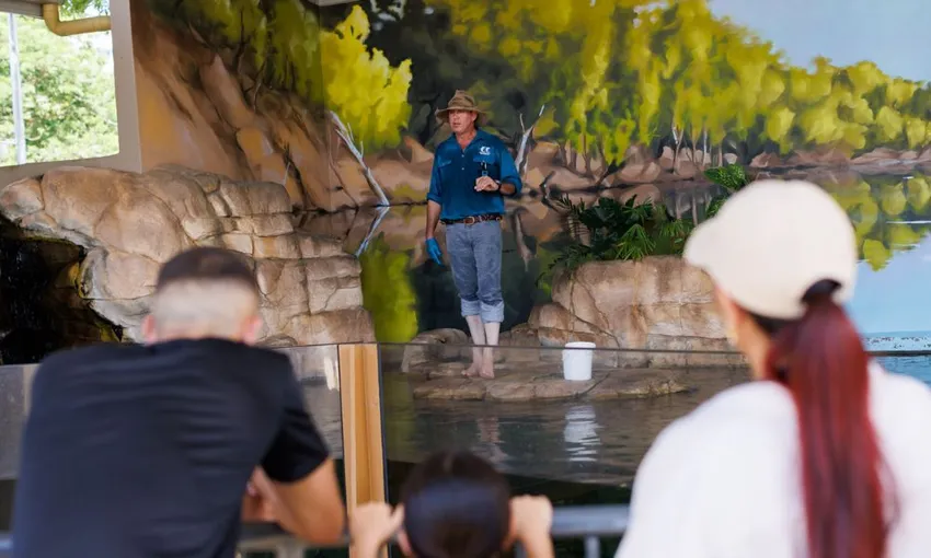 Crocosaurus Cove Whipray Encounter & Entry - Book Now | Experience Oz