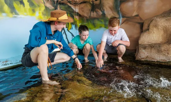Whipray Encounter with Crocosaurus Cove Entry