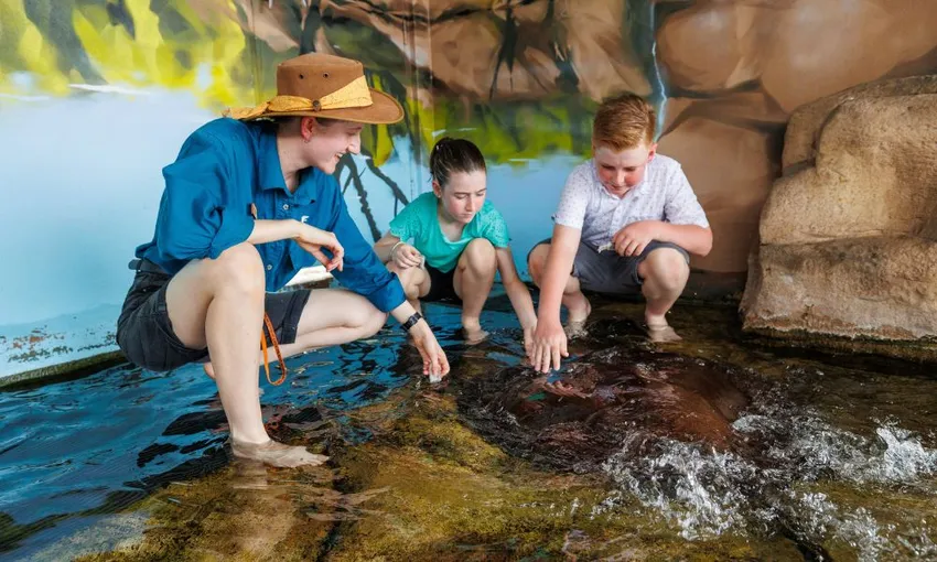Crocosaurus Cove Whipray Encounter & Entry - Book Now | Experience Oz