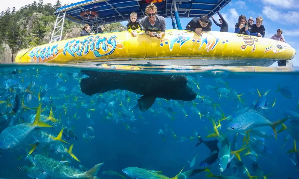 Daydream Island Ocean Rafting Tour - Northern Exposure-1