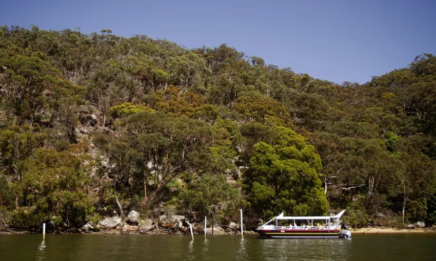Hawkesbury River Pearl Farm Shell to Showroom - 2 Hours | Experience Oz