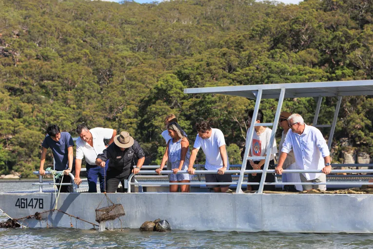 Hawkesbury River Pearl Farm Shell to Showroom - 2 Hours | Experience Oz