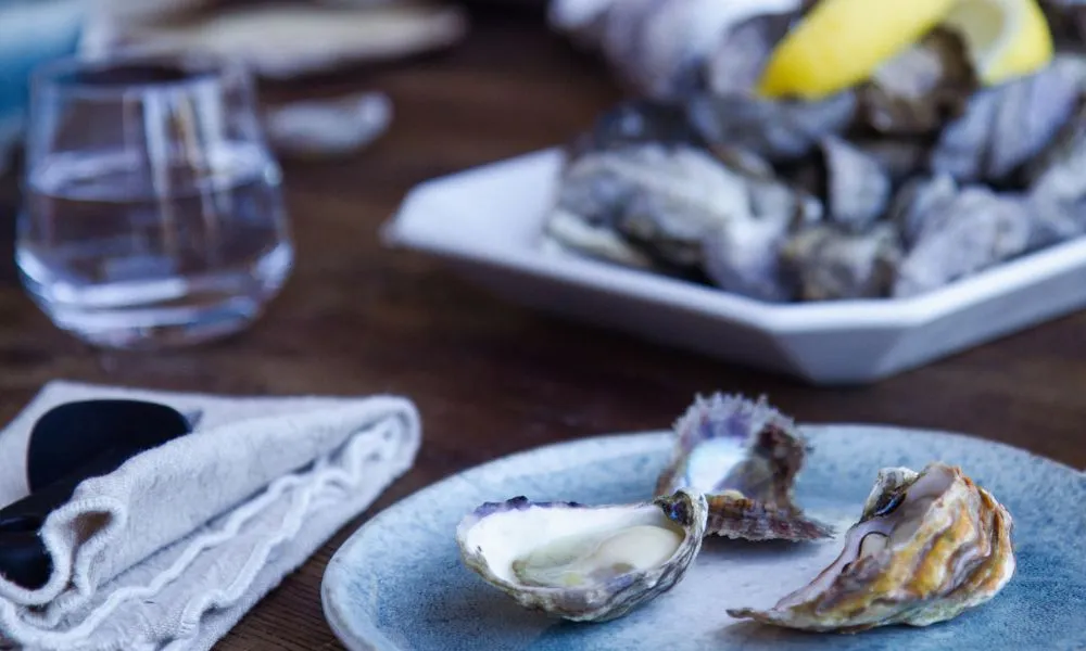 Broken Bay Oyster and Pearl Farm Complete Immersion - 3 Hours | Experience Oz-11