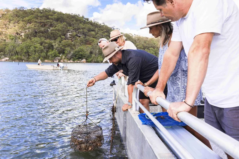 Broken Bay Oyster and Pearl Farm Complete Immersion - 3 Hours | Experience Oz