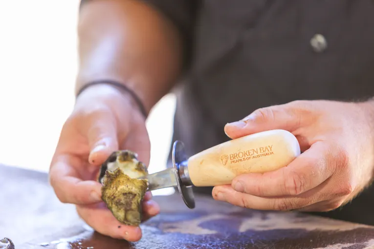 Broken Bay Oyster and Pearl Farm Complete Immersion - 3 Hours | Experience Oz