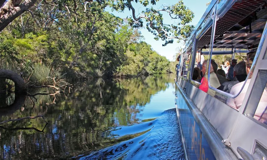 Noosa Everglades Serenity Cruise | Experience Oz