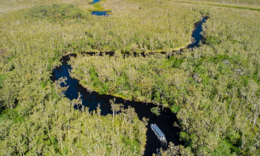 Noosa Everglades Serenity Cruise | Experience Oz
