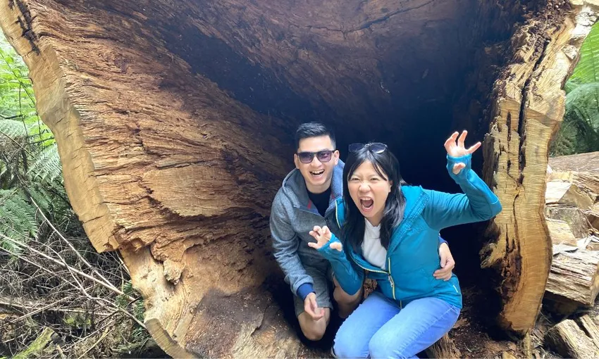 Great Ocean Road Private Tour | Experience Oz