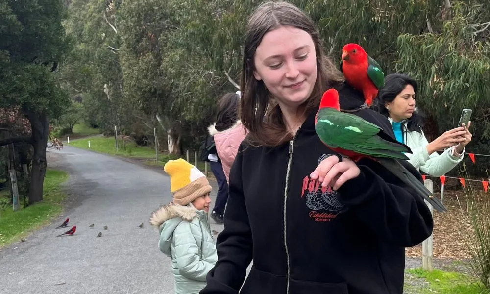 Great Ocean Road Private Tour | Experience Oz-7