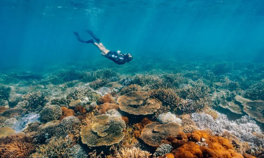 Yeppoon & Keppel Islands Full Day Sailing & Snorkelling Tour | Experience Oz