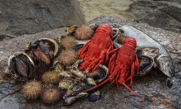 Tasmanian Seafood Seduction
