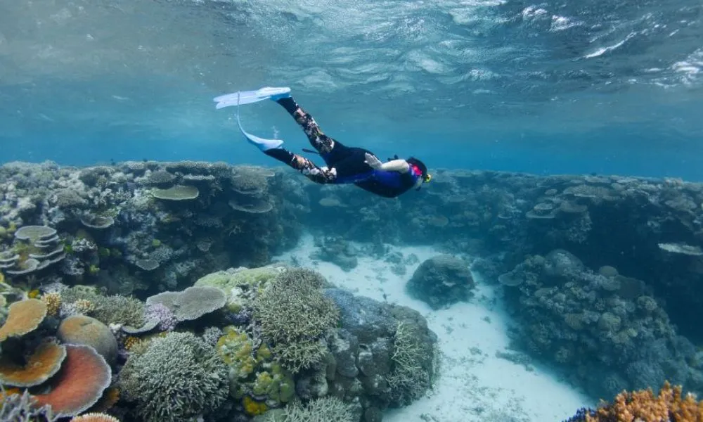 Half Day Great Barrier Reef Adventure | Experience Oz-2