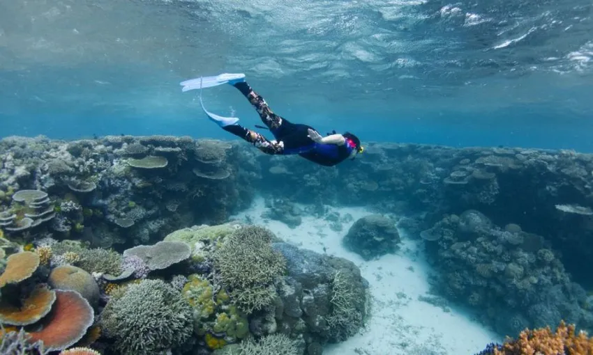 Half Day Great Barrier Reef Adventure | Experience Oz
