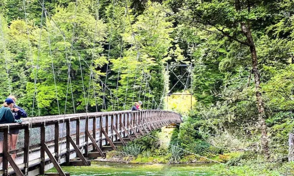 Kepler Track Guided Hike and Jet Boat from Te Anau - Full Day