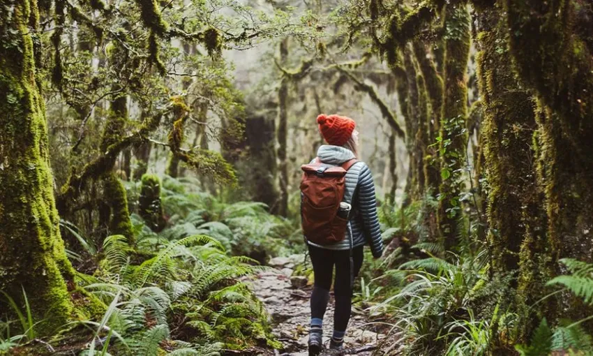 Kepler Track Guided Hike and Jet Boat from Te Anau - Full Day | ExperienceOz