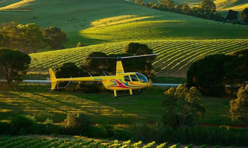 South Barossa 10 Minute Helicopter Flight - Book Now | Experience Oz-5