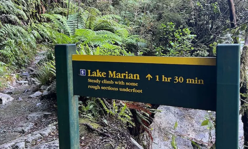 Lake Marian Day Walk from Te Anau - 5 Hours | ExperienceOz