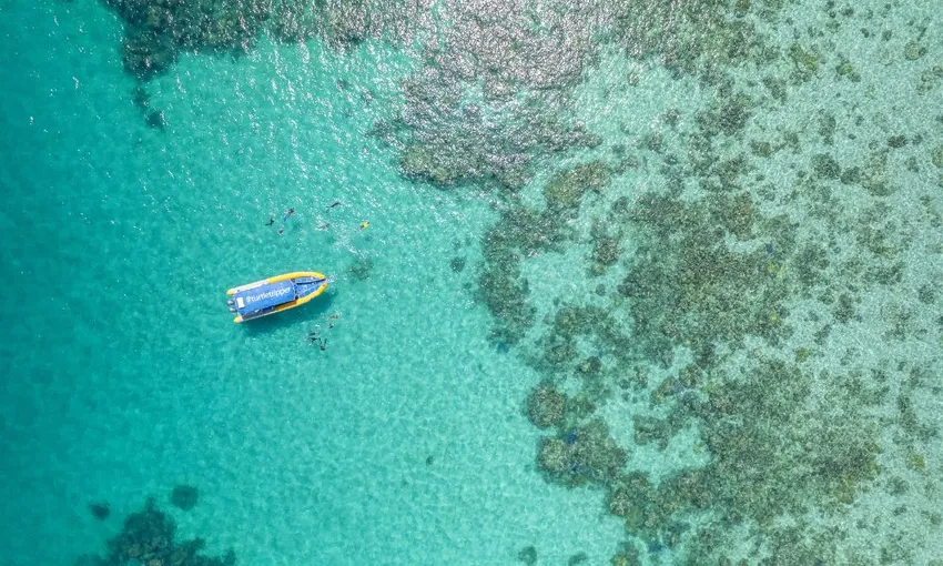 Cape Tribulation Ocean Safari | Experience Oz